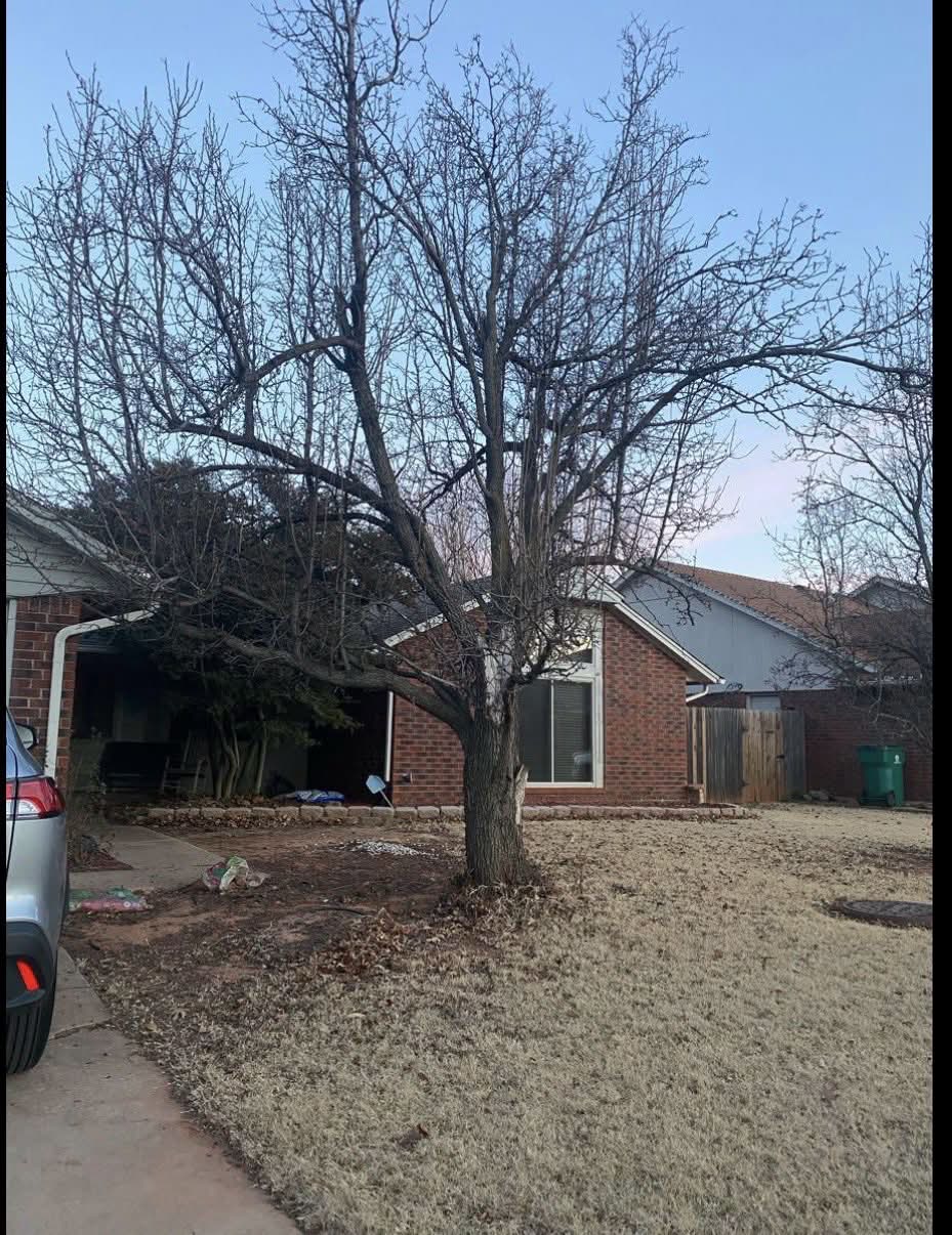 Yard cleanup and junk removal in Edmond OK